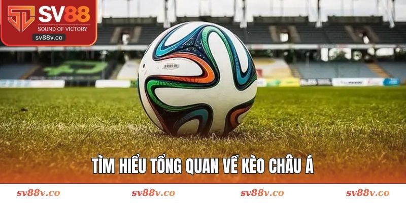  Khái quát thêm về tỷ lệ châu Á đang thịnh hành 