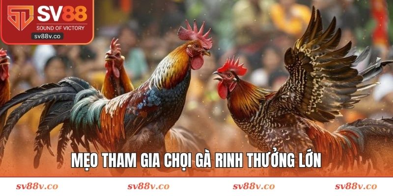 Mẹo tham gia chọi gà rinh thưởng lớn