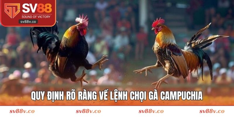 Quy định rõ ràng về lệnh chọi gà Campuchia