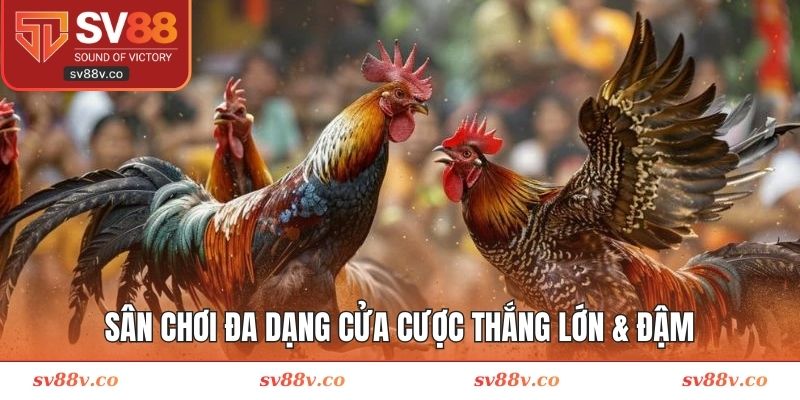 Sân chơi đa dạng cửa cược thắng lớn & đậm