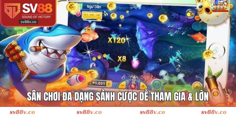 Sân chơi đa dạng sảnh cược dễ tham gia & lớn